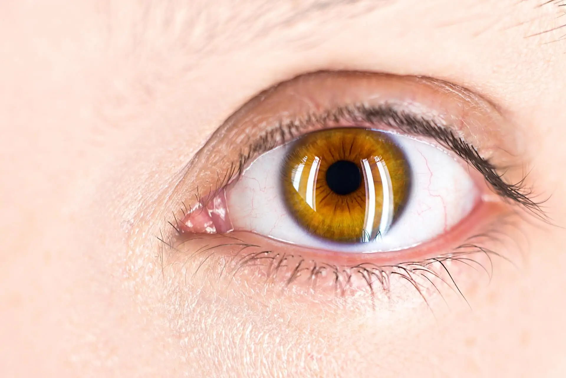 Ojo humano