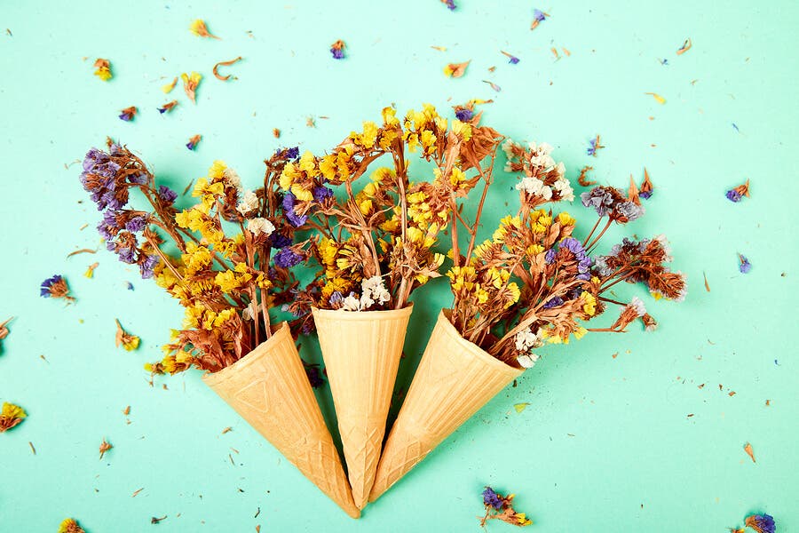 Flores secas son errores de decoración del feng shui.