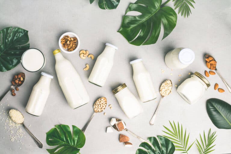Leche descremada versus leche entera