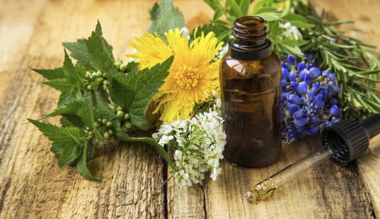 4 plantas para acelerar la curación de los orzuelos