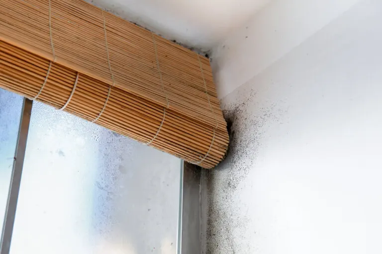 Cómo reconocer un problema de humedad en el hogar