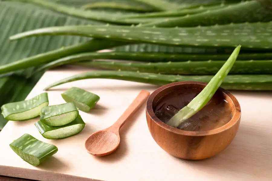 Bol de madera con aloe vera