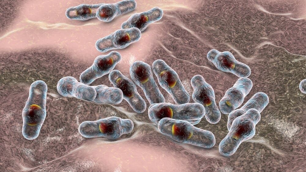 Bacteria que causa la gangrena.