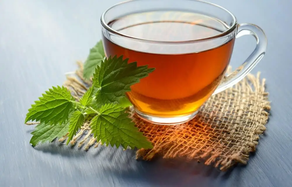 Infusión digestiva de menta.