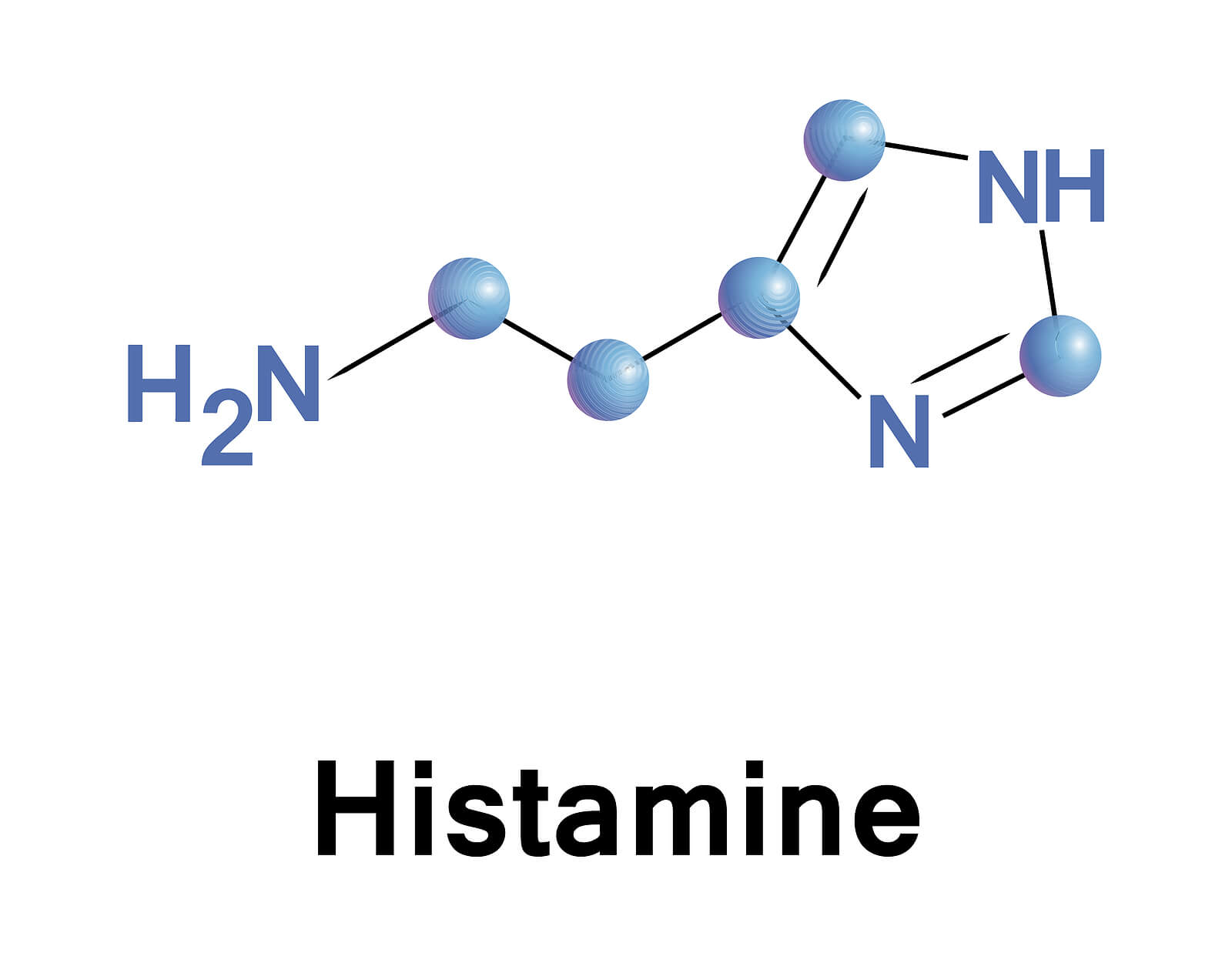 La histamina es un neurotransmisor.