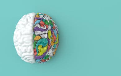 6 curiosidades del cerebro humano que seguramente desconoces