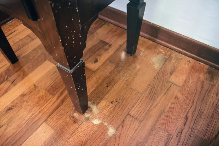 Cómo detectar si tu madera tiene carcoma