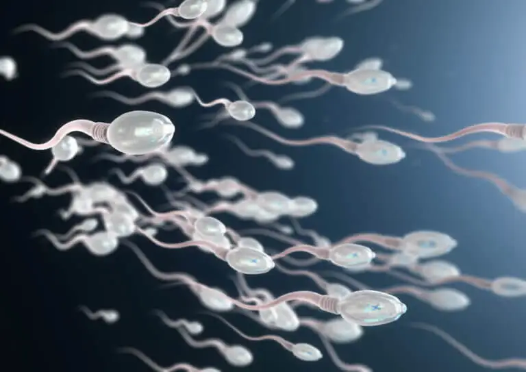 Astenozoospermia: ¿qué es y cómo detectarla?