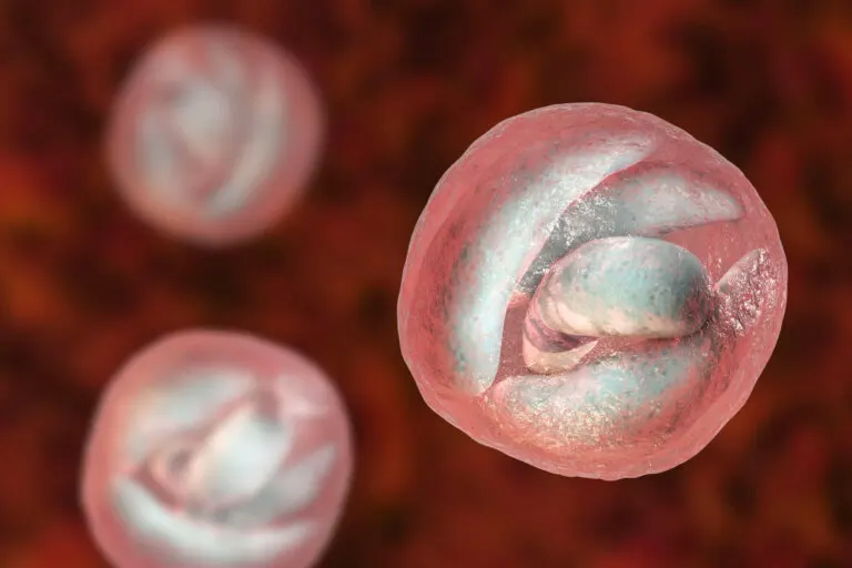 Conceptos claves de la criptosporidiosis
