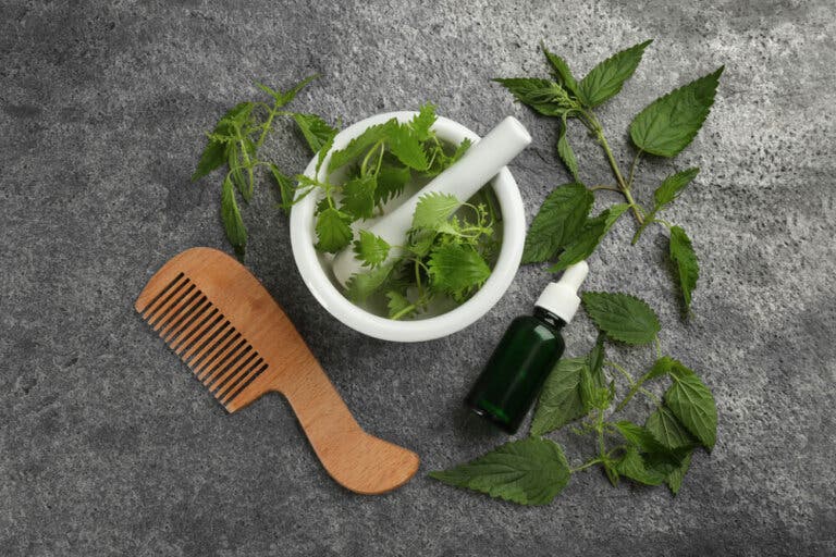 Tratamiento de romero y ortiga para tu cabello