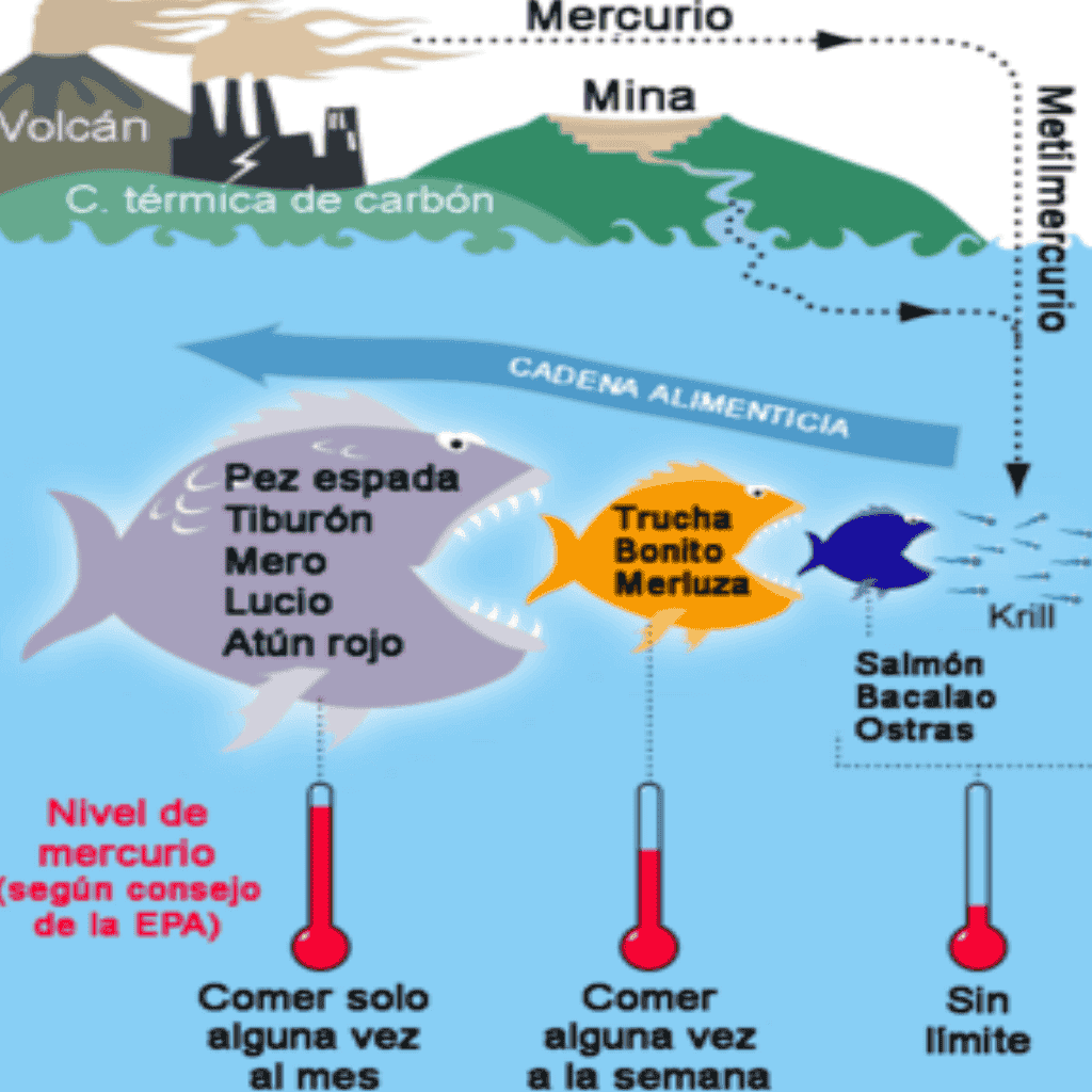 Contaminación de peces con mercurio.
