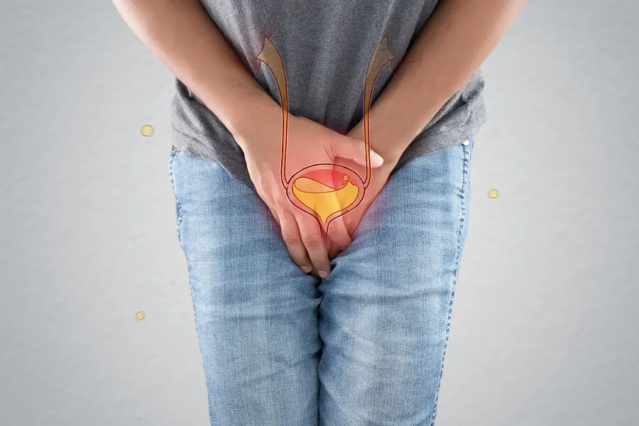5 infusiones para tratar los cálculos en la vejiga