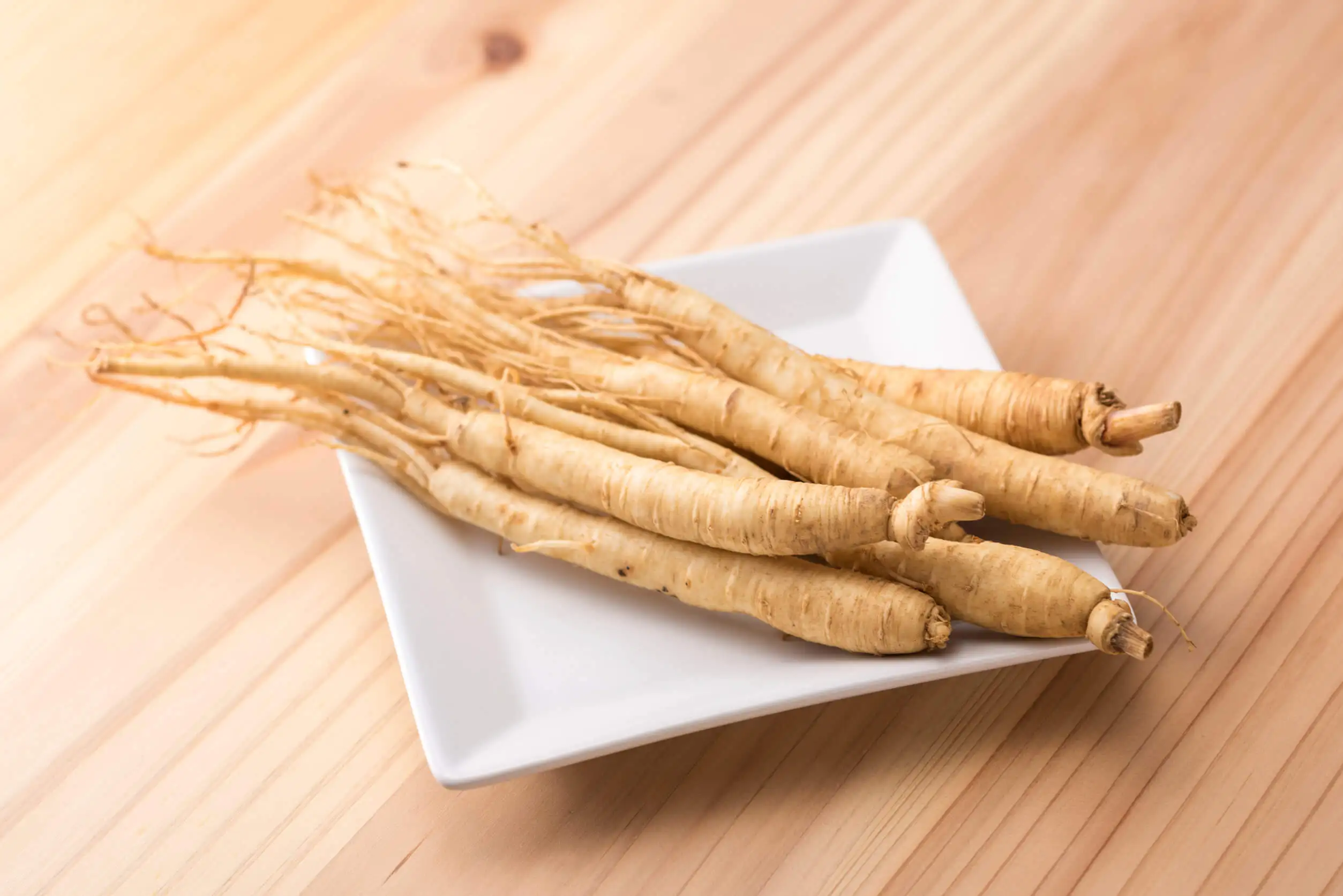 Adaptogene Pflanzen - Ginseng
