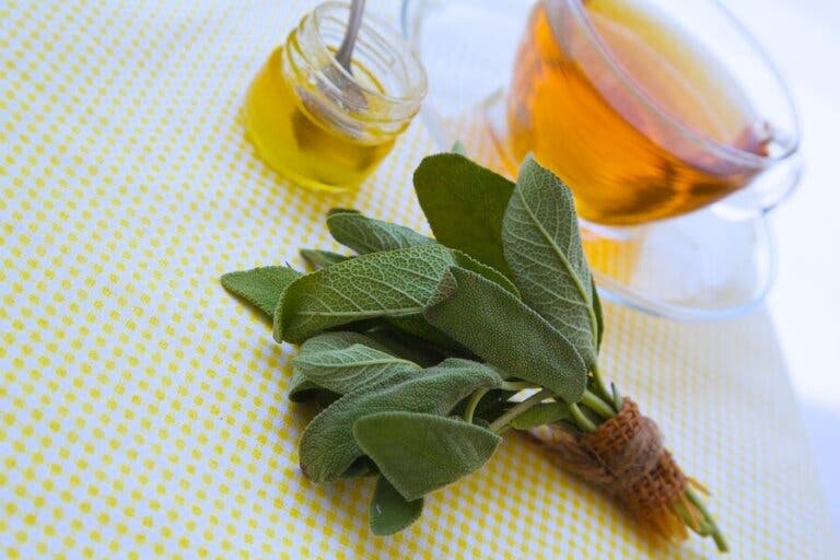 Preparado de salvia y miel para tratar cortes y raspaduras