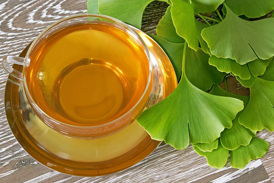 Taza de té de ginkgo biloba.