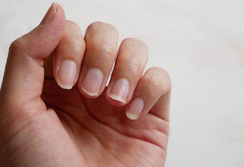 4 ingredientes naturales para tratar las uñas quebradizas