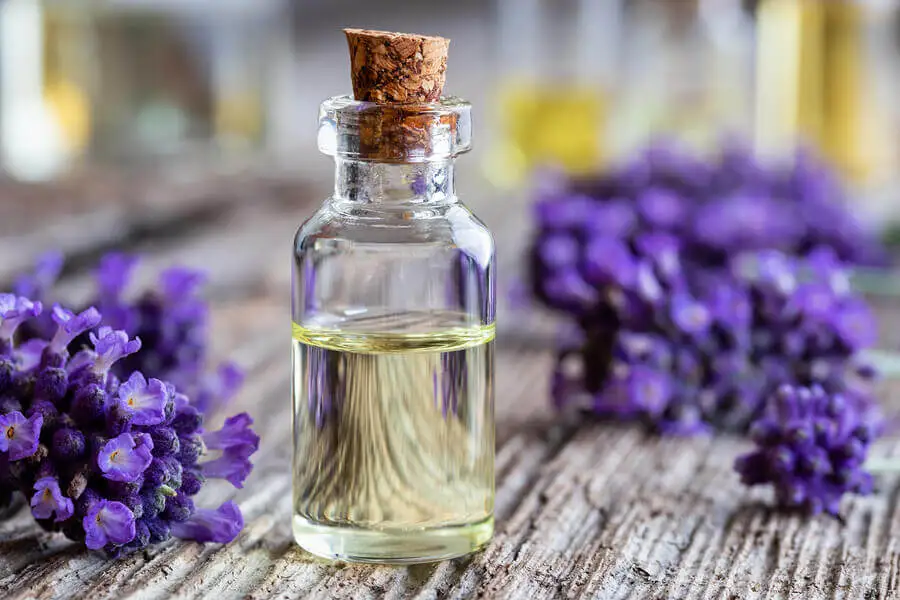 Aceite de lavanda para calmar las picaduras de abeja