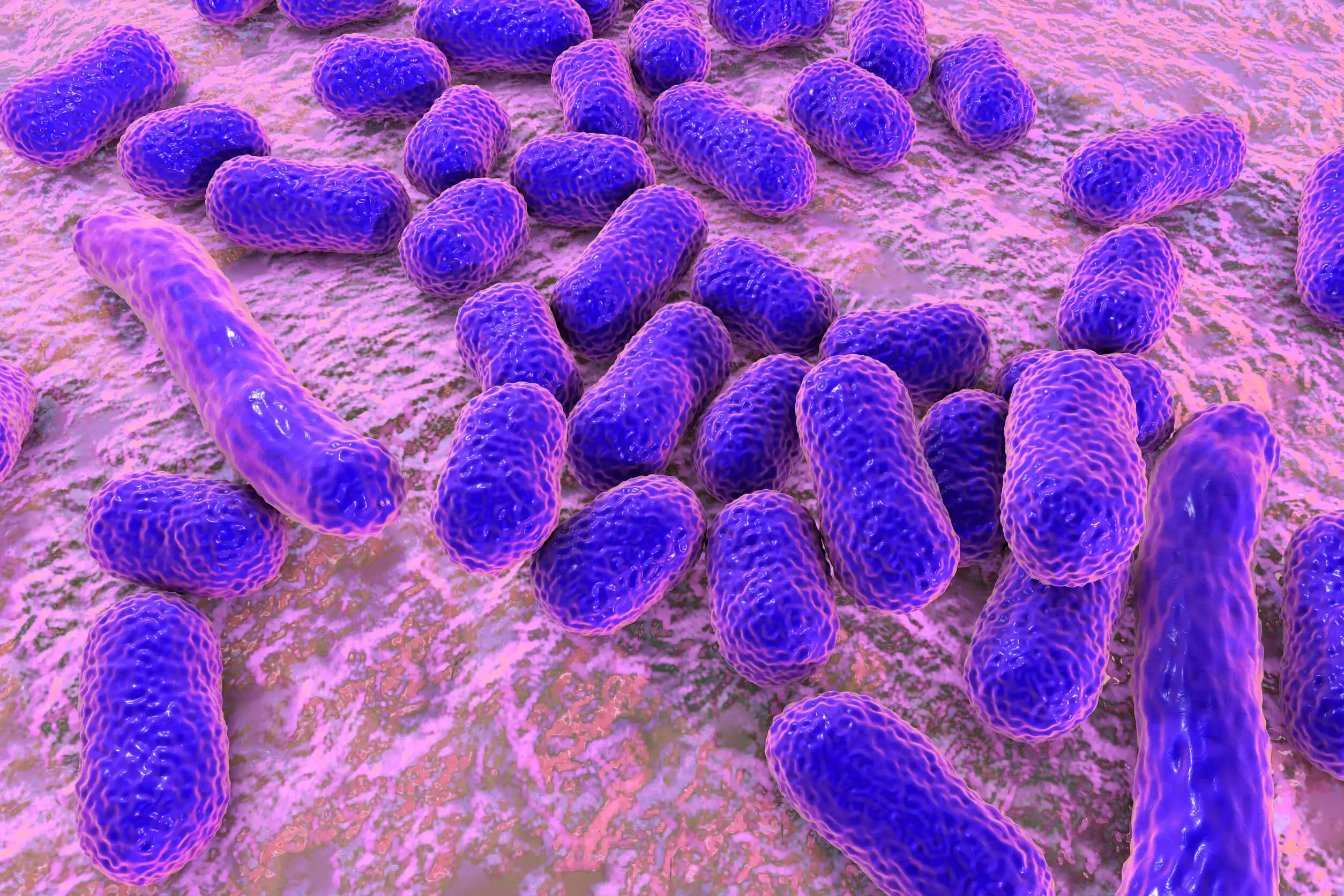 Los bebés no pueden comer miel por riesgos de infección.