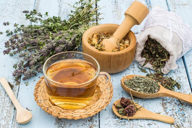 ¿Cuáles son los beneficios de la fitoterapia?