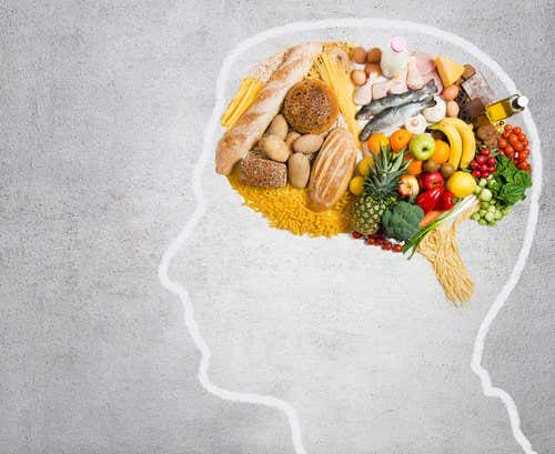 ¿Qué grasa consume tu cerebro?