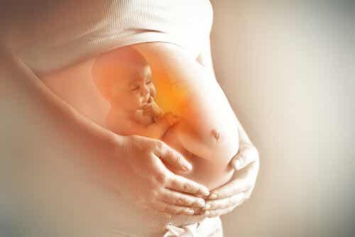 La salud intestinal de la embarazada influye en el cerebro del futuro bebé