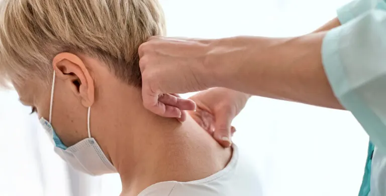 El cuello está formado por vértebras