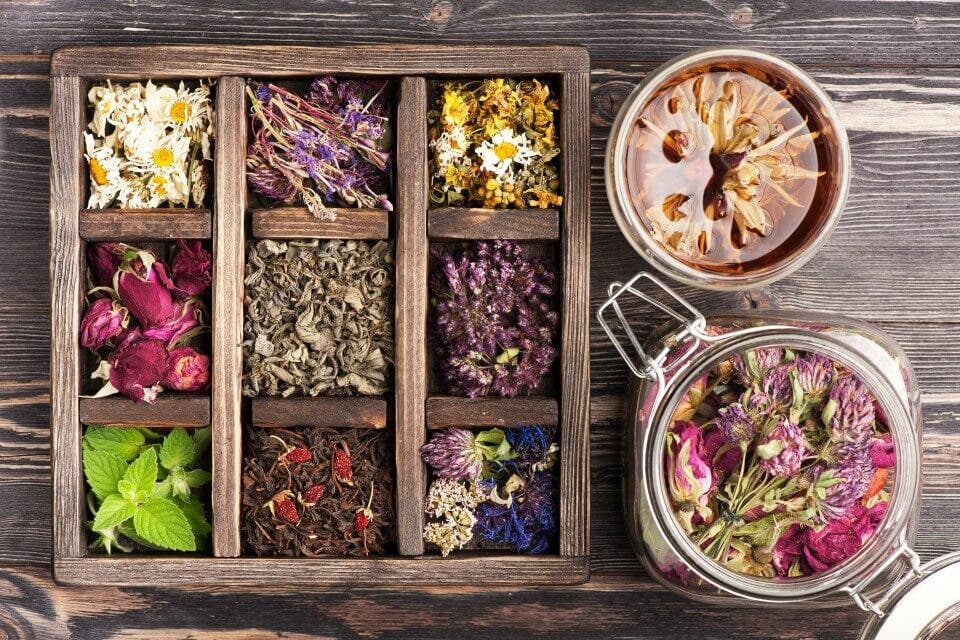 Plantas de fitoterapia