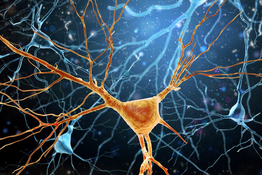 falta de glucosa y enfermedades neuromotoras