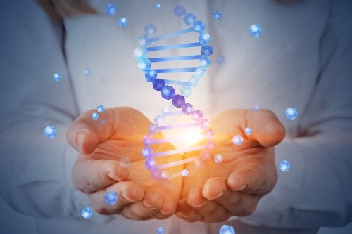 El proyecto genoma humano