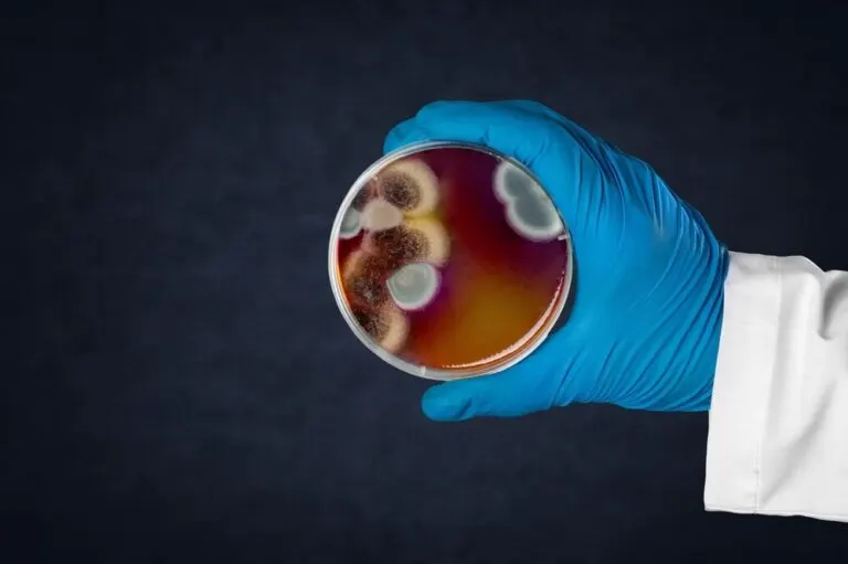 Antimicrobianos: ¿para qué sirven?