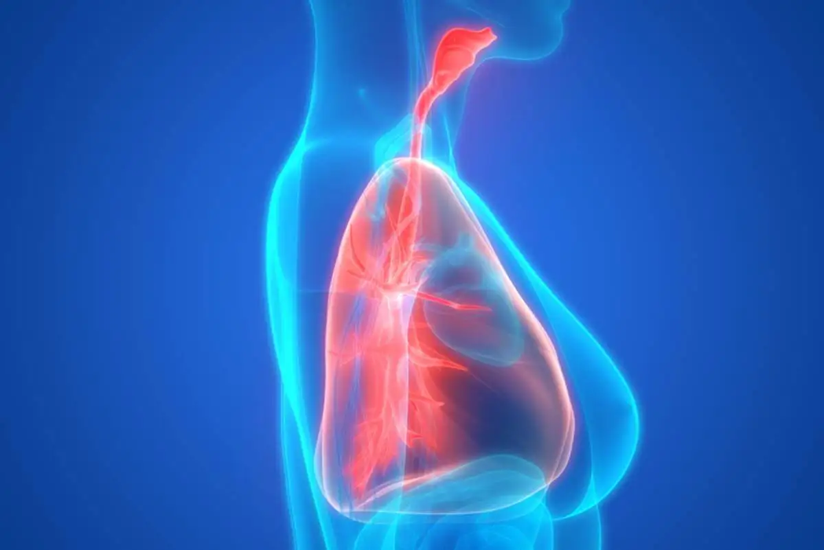Respiración