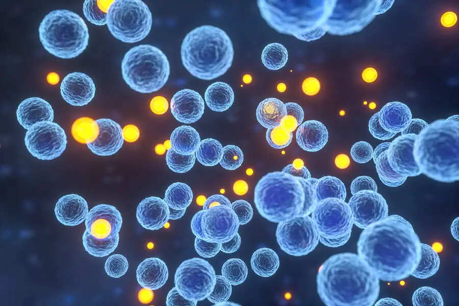 El herpes labial está causado por un virus.