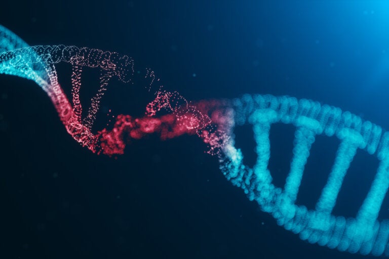Diferencias entre ADN y ARN
