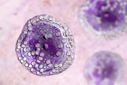 la apoptosis y la necrosis