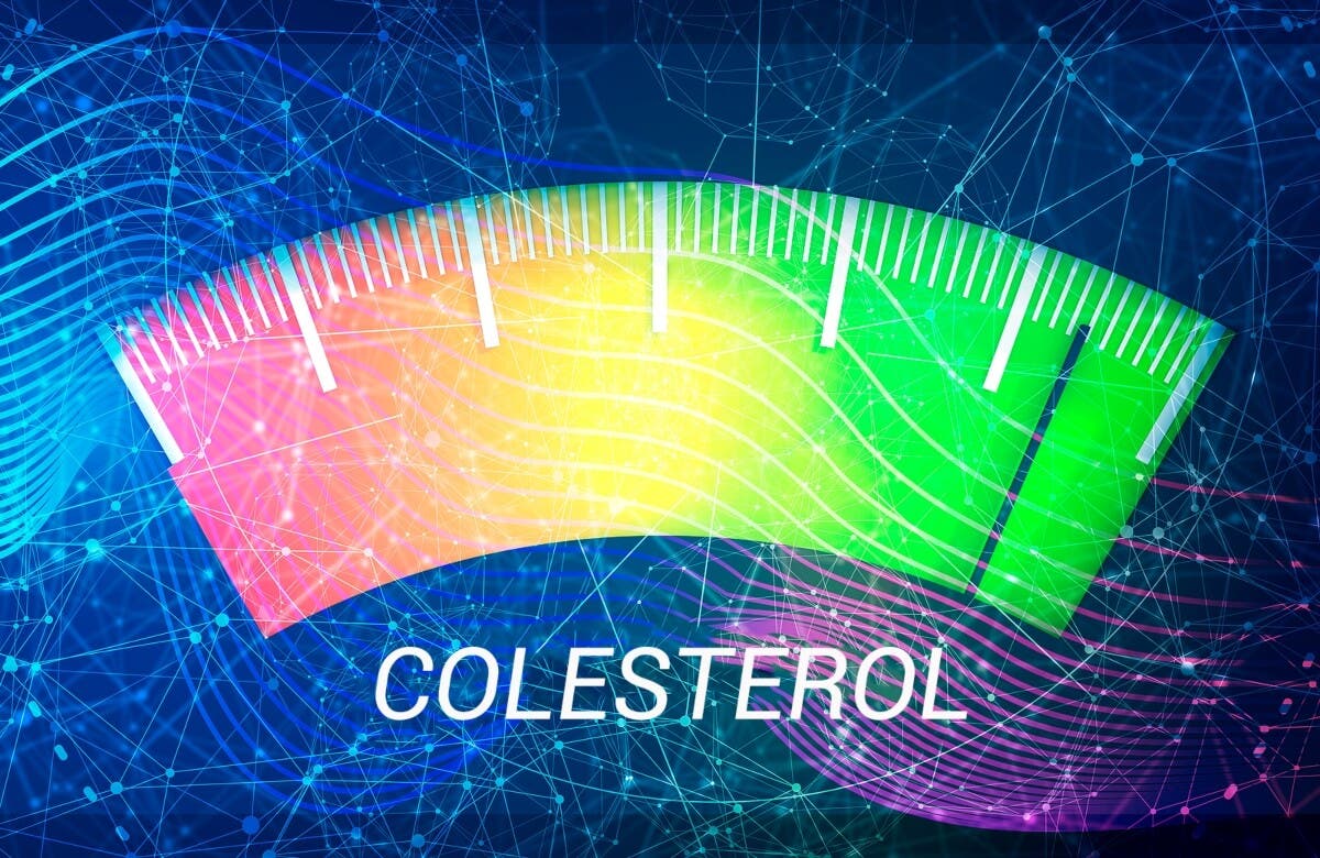 Colesterol en la langosta.
