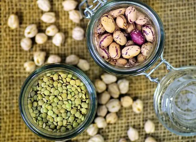 fuentes de proteínas vegetales