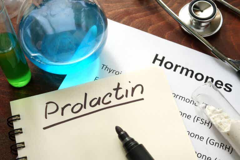 Prolactina: ¿qué es y cómo funciona?