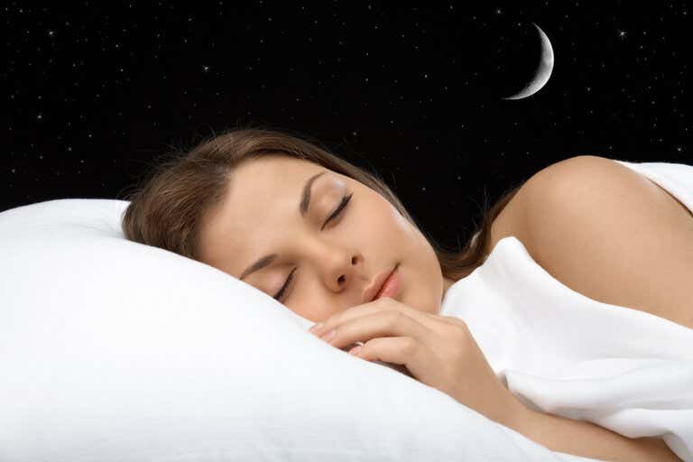 ¿Cuáles son las fases del sueño?