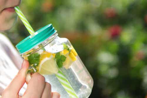 Una de las bebidas frutales más populares es el agua saborizada con rodajas de limón.