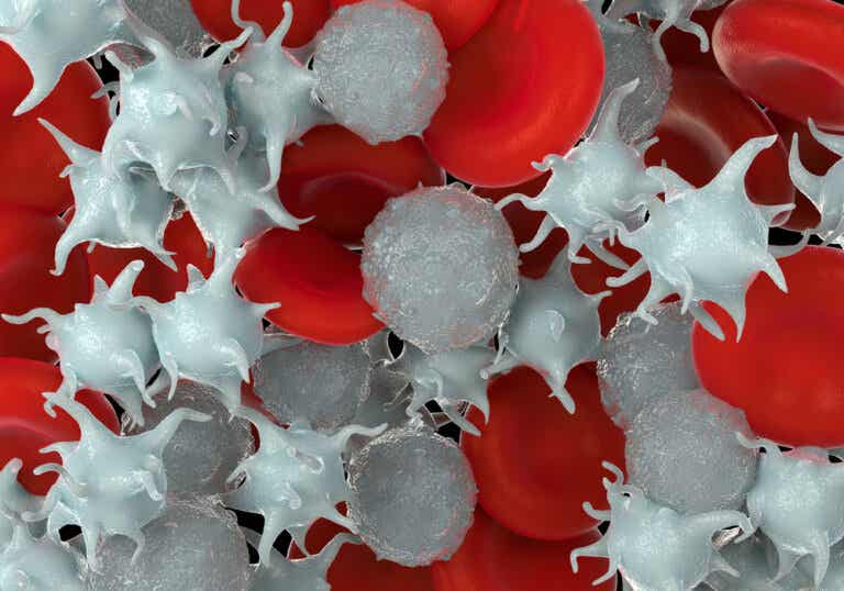 Trombocitosis: síntomas, causas y tratamiento