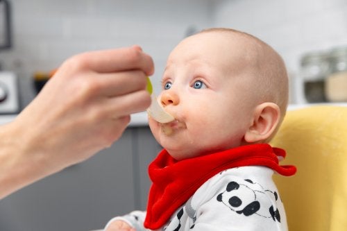 Pautas para introducir la alimentación complementaria