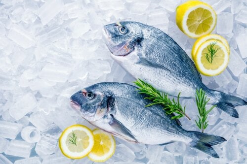 Alimentos congelados: todo lo que debes saber
