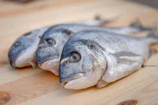 ¿Es peligroso el mercurio del pescado?