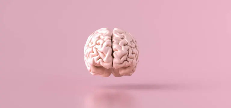 Sistema de recompensa del cerebro: ¿cómo funciona?