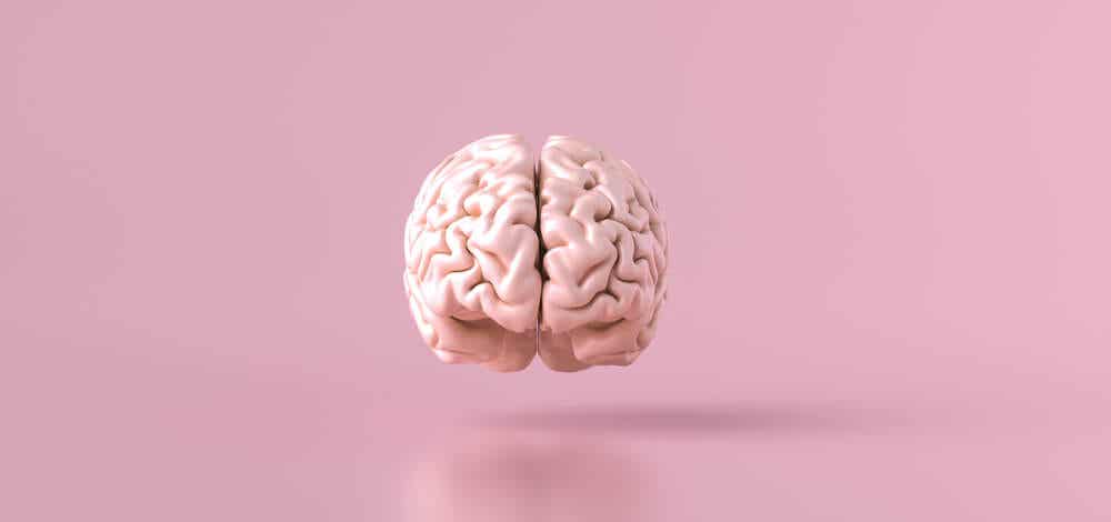 Marchiafava-Bignami-Krankheit - ein Gehirn