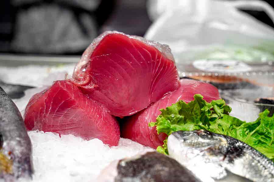 ¿Se puede comer atún crudo?