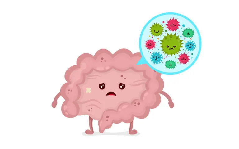 Cómo puedes prevenir la disbiosis intestinal llevando una dieta equilibrada