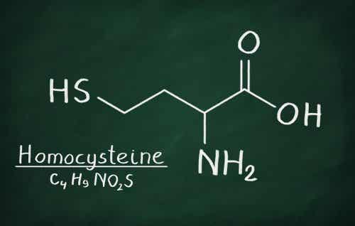 Molécula de la homocisteína.