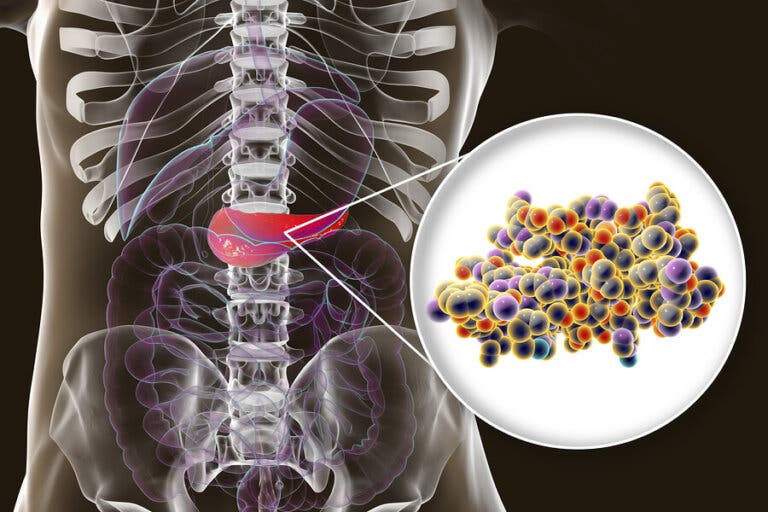 Insulina: ¿qué es y para qué sirve?
