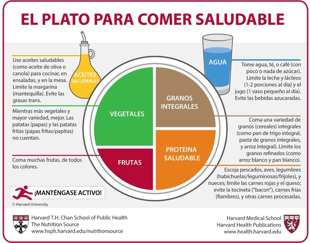 El plato para comer saludable (Harvard, 2017)